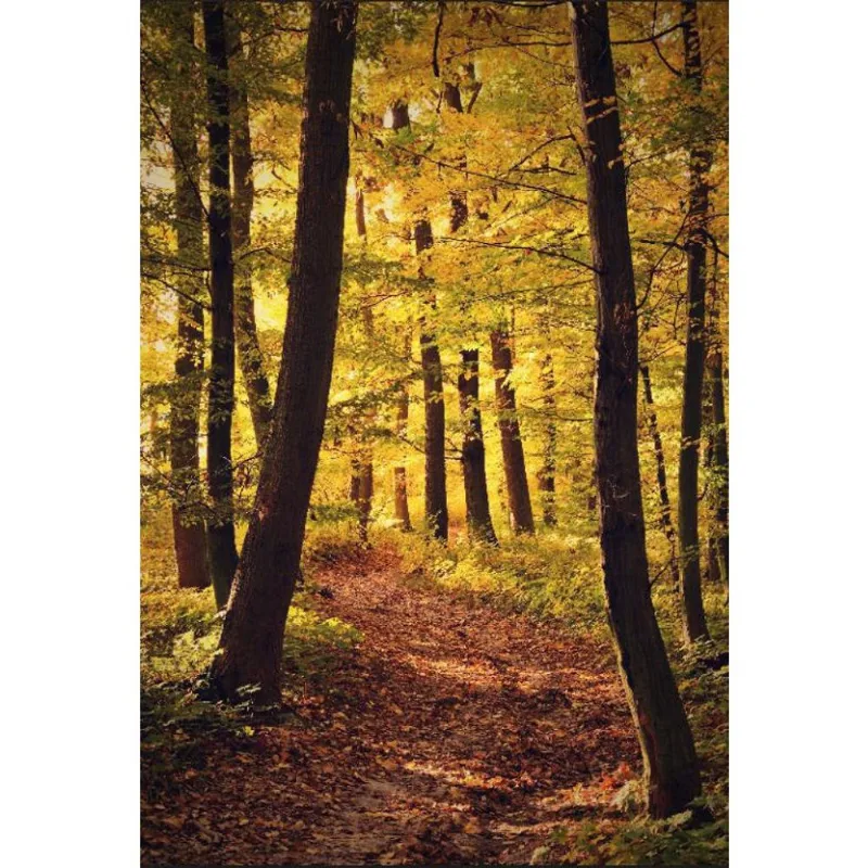 Fundo Fotográfico Em Tecido 2,10M X 1,50M Floresta - Ff-01