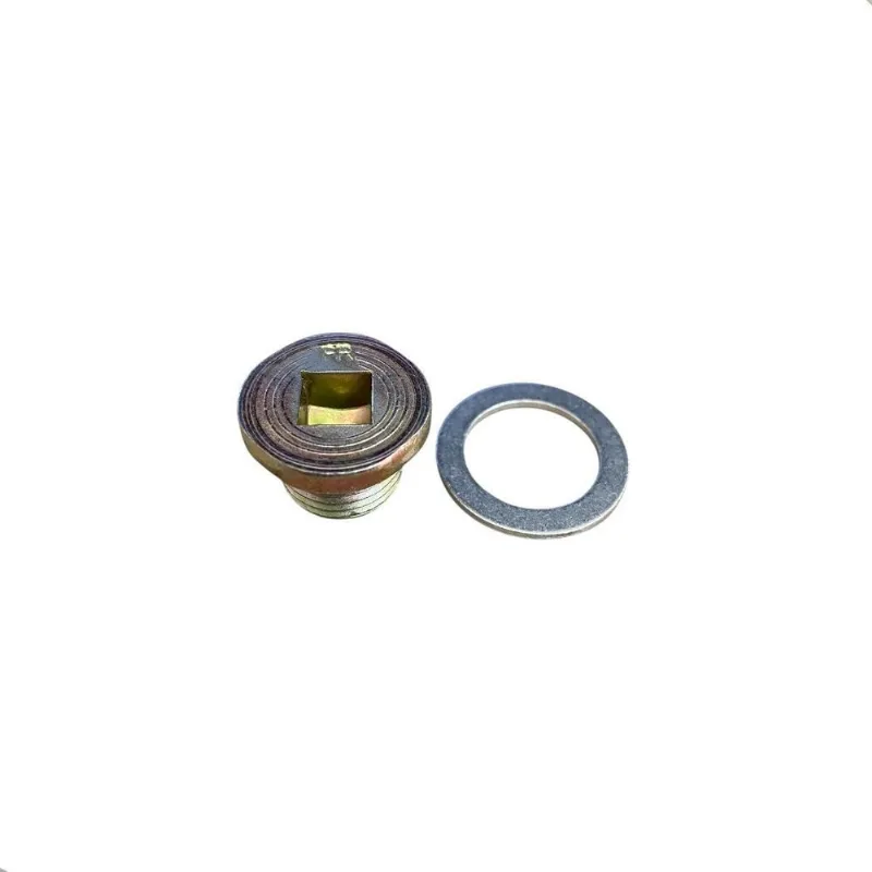 Bujao Carter Motor Clio Scenic 7903075033