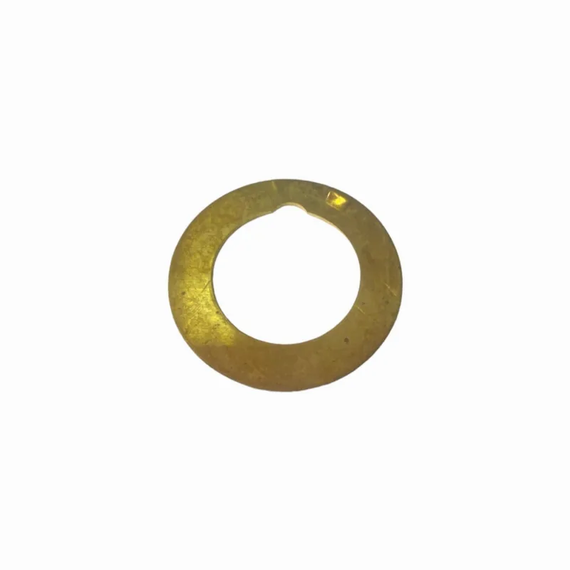 Arruela Latao Encosto Carretao F1000 92/96 D20 92/96