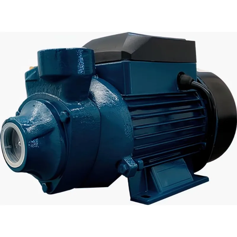 Bomba Periférica Lepono 0.5HP 220V Água Limpa
