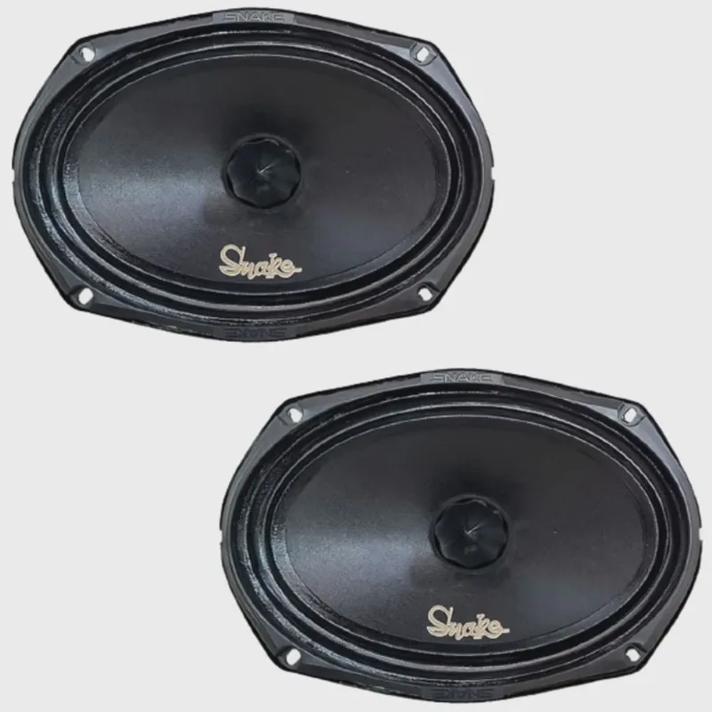 Par Alto Falante Snake Pro 6X9 Esv 260 260W Rms 4 Ohms