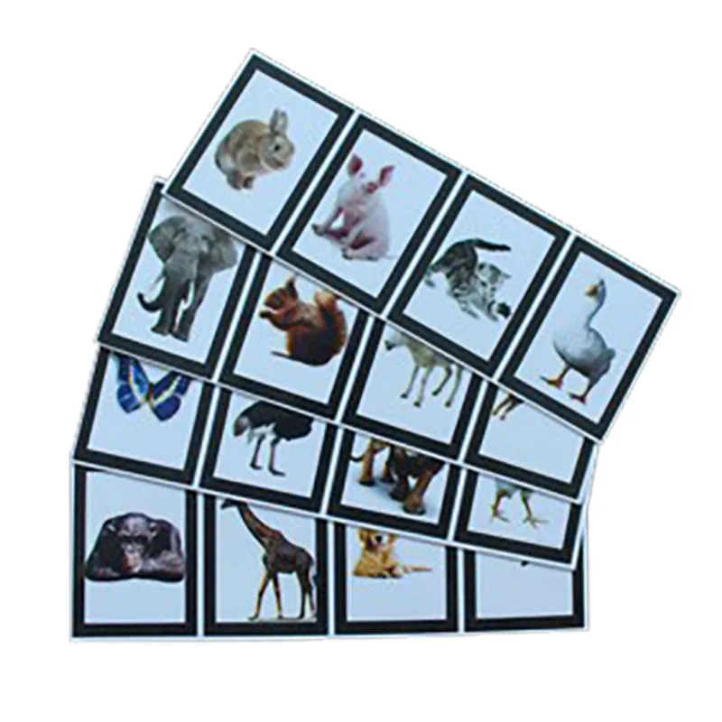 Mágica Animental Magic Up (mágica Com Animais)