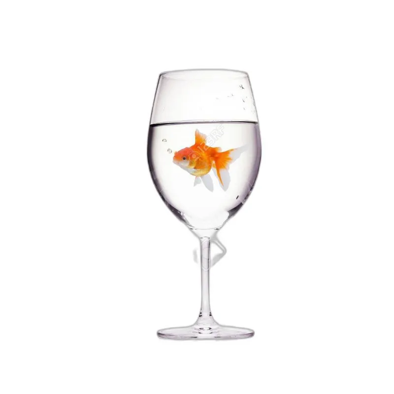 Gold Fish Production - Aparição Do Peixe D+