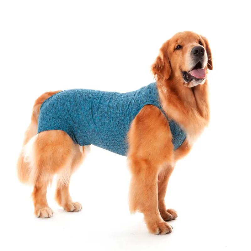 Roupa Pós-Cirúrgica para Cães Machos Castração Pet Med Azul Nº 0 - Pet Med