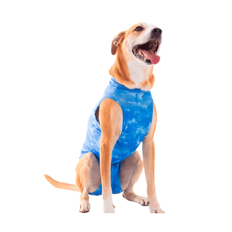 Roupa Pós-Cirúrgica Dry Light Supreme para Cães Machos Castração Pet Med Azul Nº 11 - Pet Med