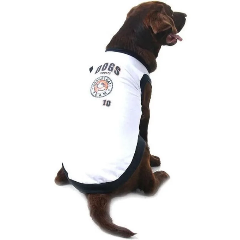 Fantasia Baiseball p/ Cachorro