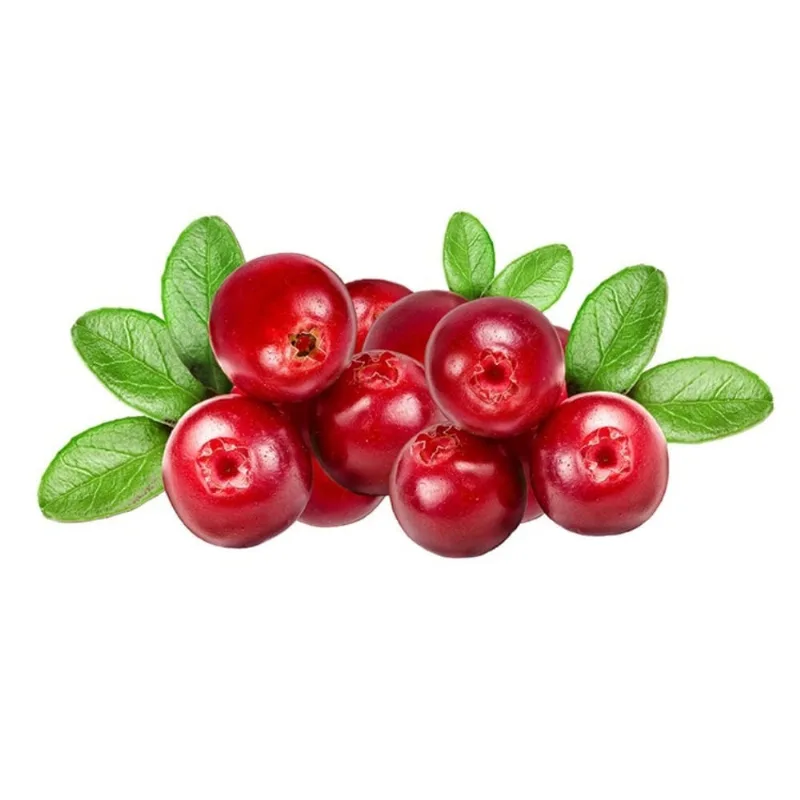Cranberry Cusper Nosso 120g