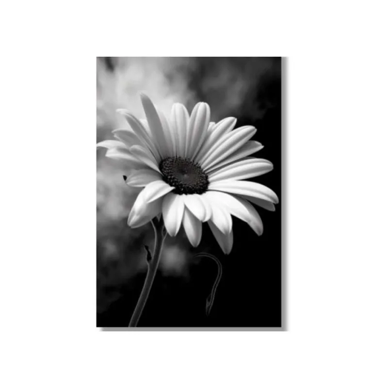 Quadro 60X90 Girassol Preto E Branco Canvas 4524 Brisa Artes
