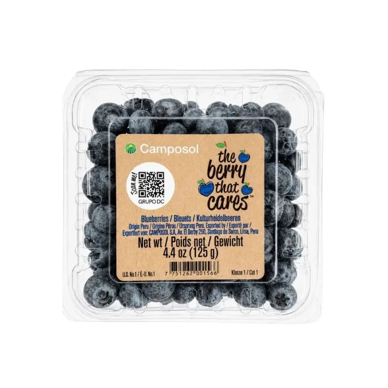 Mirtilo Berrygood 125g - Berrygood - Hortifruti
