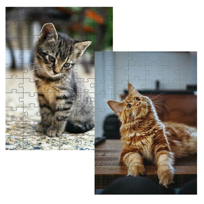 Kit 2 Quebra-cabeças Cognitivos Gatos 60 Peças