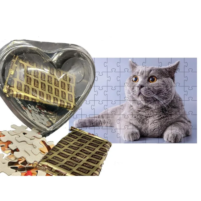 Presente De Páscoa Diet Chocolate Para Idosos + 1 Quebra-cabeça Gato De 60 Peças