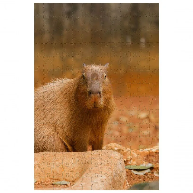 Quebra-cabeça Capivara De 300 Peças