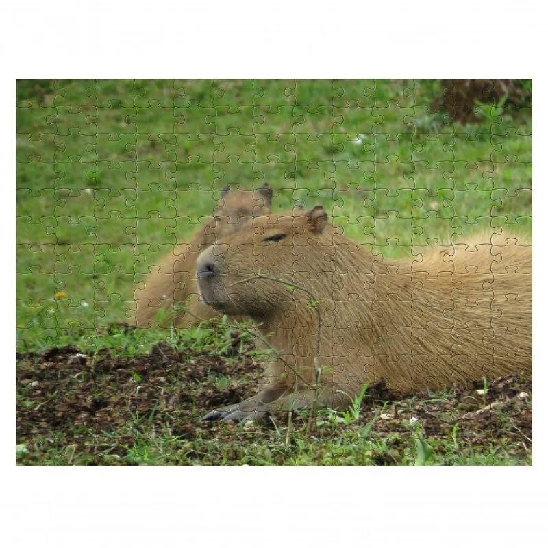 Quebra-cabeça De Mdf Capivara 300 Peças
