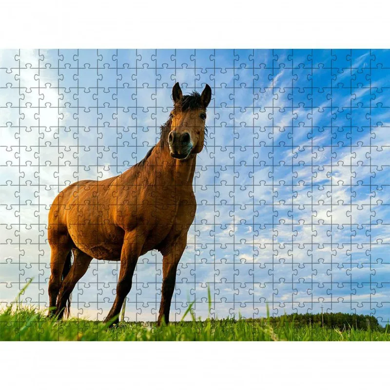 Quebra-cabeça Inclusivo 300 Peças Cavalos De Elite Que Encantam E Ensinam