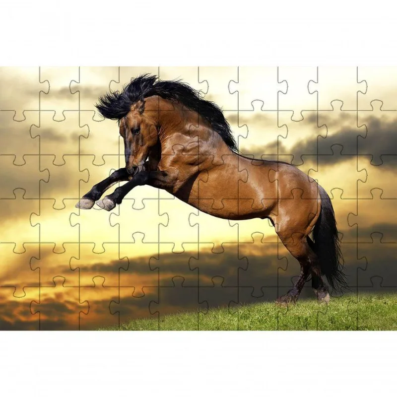 Quebra-cabeça Educativo 500 Peças Lindos Cavalos Que Encantam E Ensinam