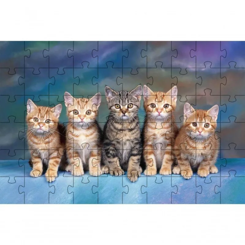 Quebra-cabeça Kit 2 Gatos Espertos Inclusivos 60 Peças Indicado para Idosos Atividade Relaxante - OUTRAS