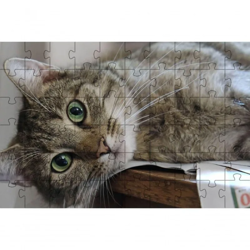 Kit 2 Quebra-cabeça Gatos Espertos Inclusivo com 24 Peças Grandes Coleção Tea e Amor - OUTRAS