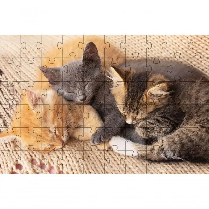 Quebra-cabeça Educativo Gatinhos Que Encantam e Ensinam 500 Peças Indicado para Idosos Coleção Tea - OUTRAS