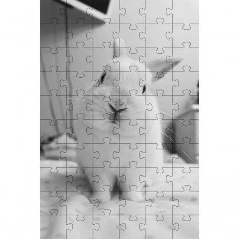 Quebra-cabeça Kit 2 Inclusivos Beleza dos Coelhos em 40 Peças Grandes para Idosos Coleção Tea e Amor - OUTRAS