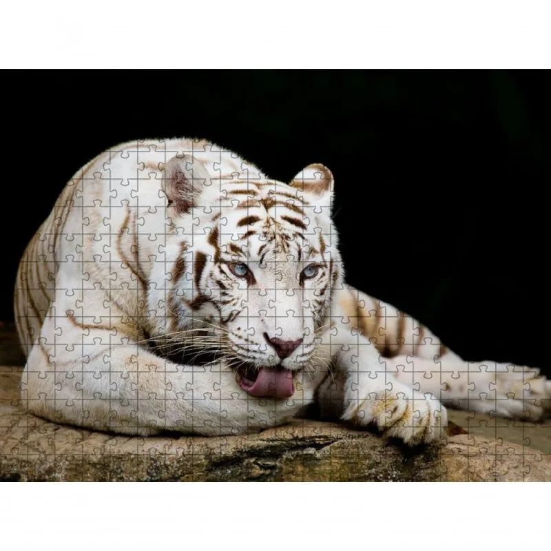 Quebra-cabeça Tigre Branco Inclusivo 300 Peças em MDF para Memória e Concentração Branco Coleção Tea - OUTRAS