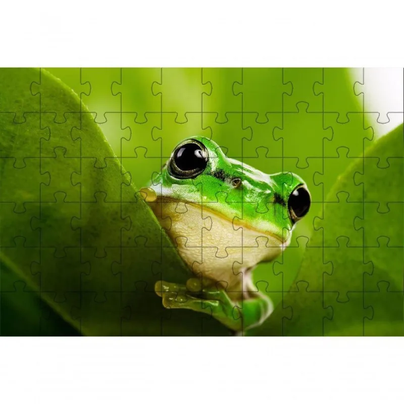 Quebra-cabeça Micro Sapo Verde de 300 Peças em MDF Indicado para Idosos com Relaxamento Verde - OUTRAS