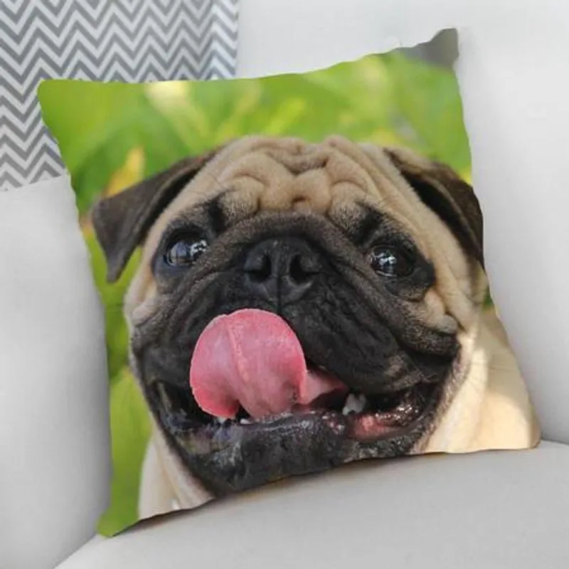 Almofada Cheia com Zíper 40x40cm Pug - DELUZZ