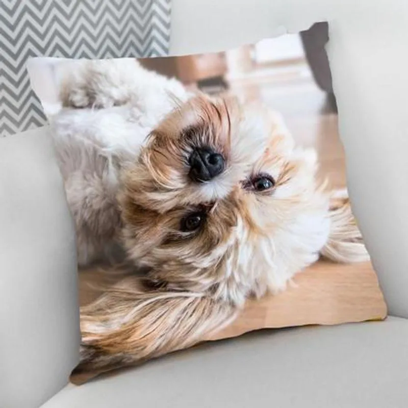 Almofada Cheia com Zíper 40x40cm Lhasa Apso - DELUZZ