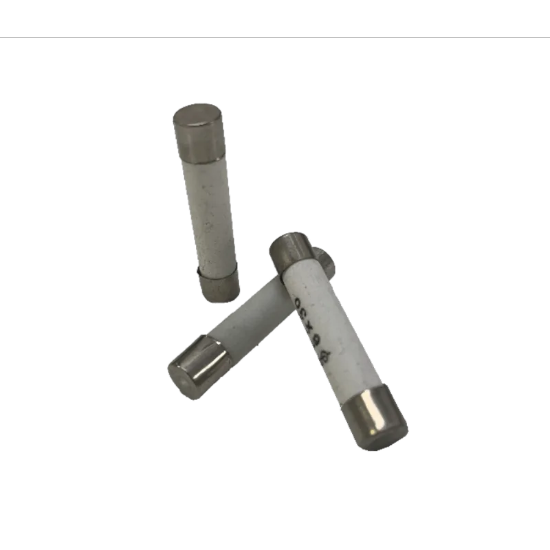 Fusivel Ceramica 6X30 20A Para Microondas 02Pcs Bricopack