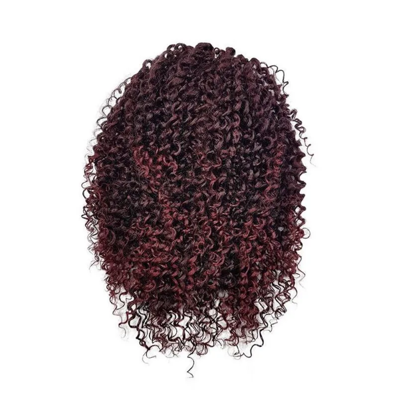 Aplique Coque Afro Puff Fibra Sintética P10