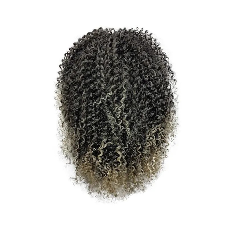 Aplique Coque Afro Puff Fibra Sintética P10