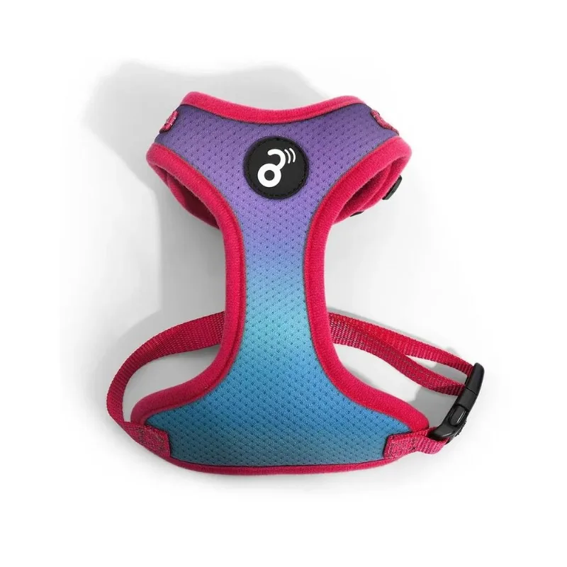 Peitoral Flow Mesh Mimo Roxo/Azul - M Roxo/Azul