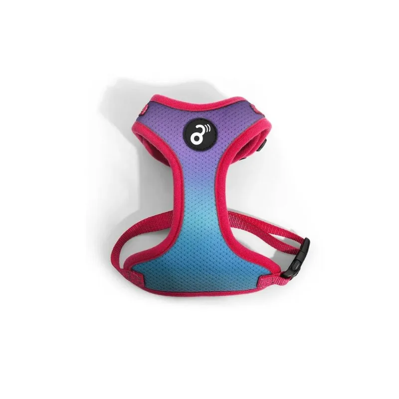 Peitoral Flow Mesh Mimo Roxo/Azul - G Roxo/Azul - PP319