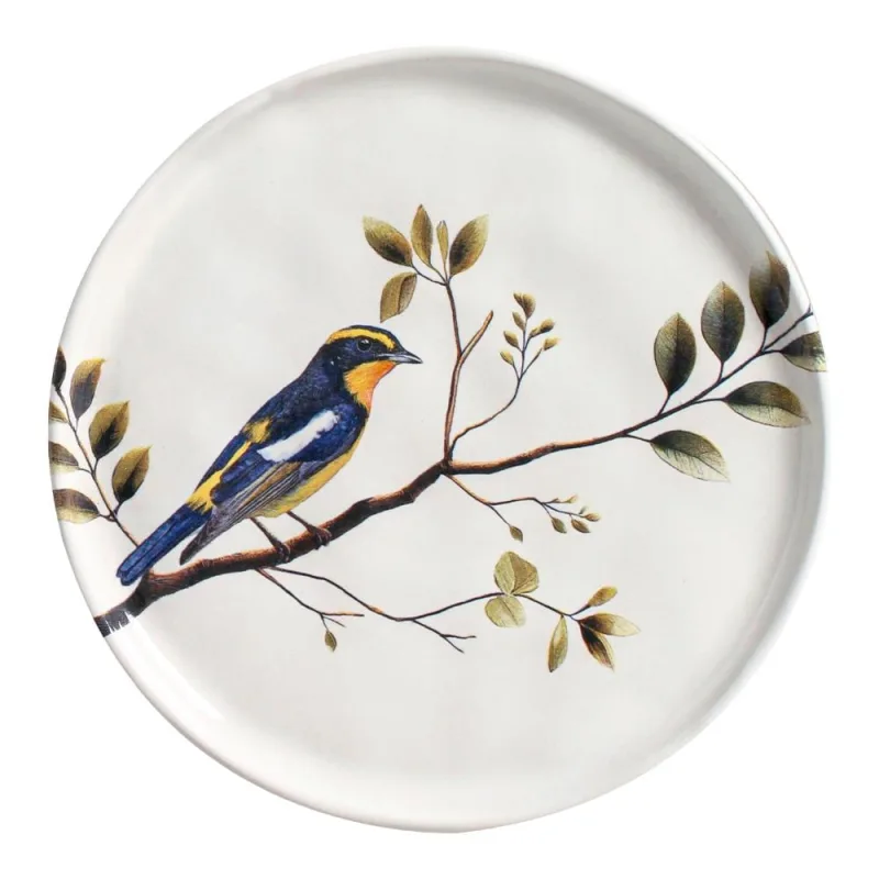 Conjunto com 6 Pratos De Sobremesa Bio Birdy - Porto Brasil Cerâmica - Utilidades Domesticas
