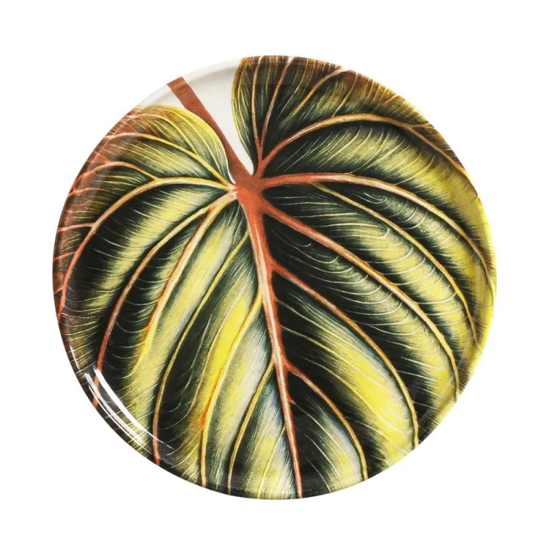 Conjunto com 6 Pratos De Sobremesa Bio Éden Ø21,5cm - Porto Brasil Cerâmica