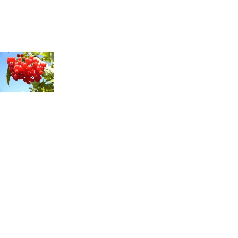 CRANBERRY DESIDT 150G-PC