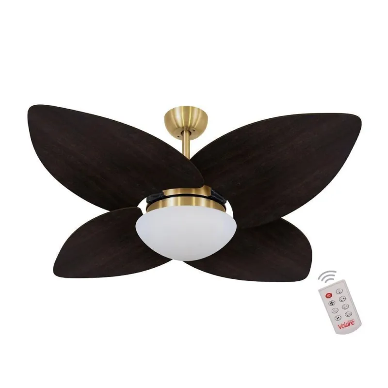 Ventilador De Teto Dormamu Dourado 4 Pás 110V Com Controle - OUTRAS - Ar E Ventilação