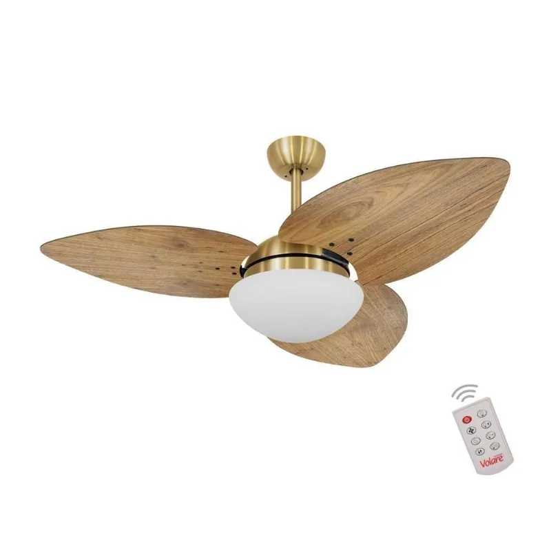 Ventilador De Teto Dormamu Dourado 3 Pás Rádica Freijó 220V Com Controle