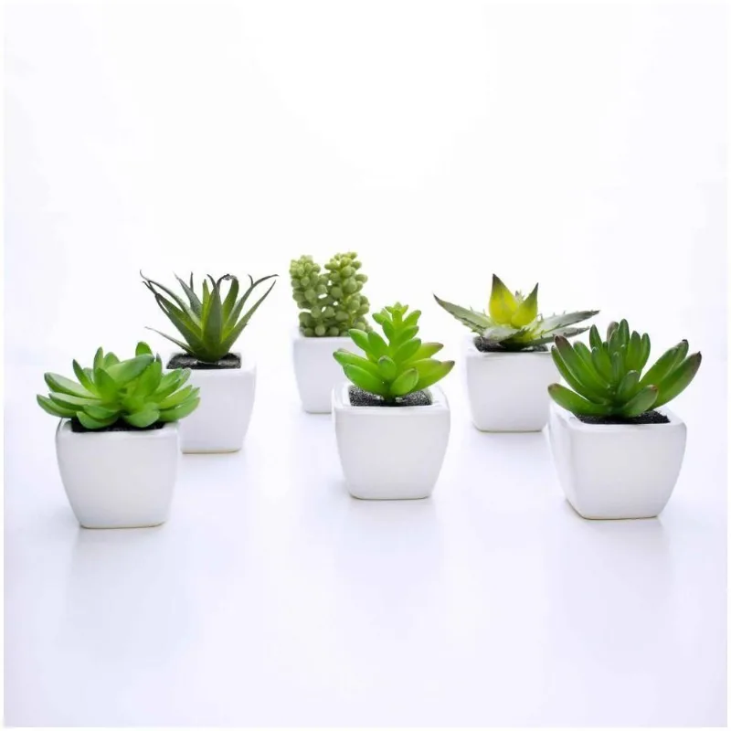 Kit 06 Suculentas Artificial Sortida Vaso Branco 6x6 Cm - DRossi