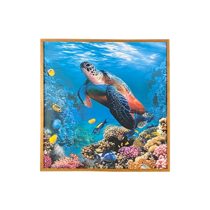 Quadro Arte Propria Tartaruga 70X70