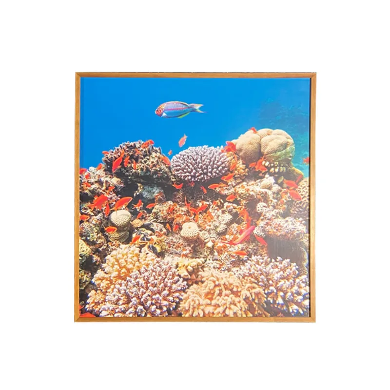 Quadro Arte Propria Coral 70X70