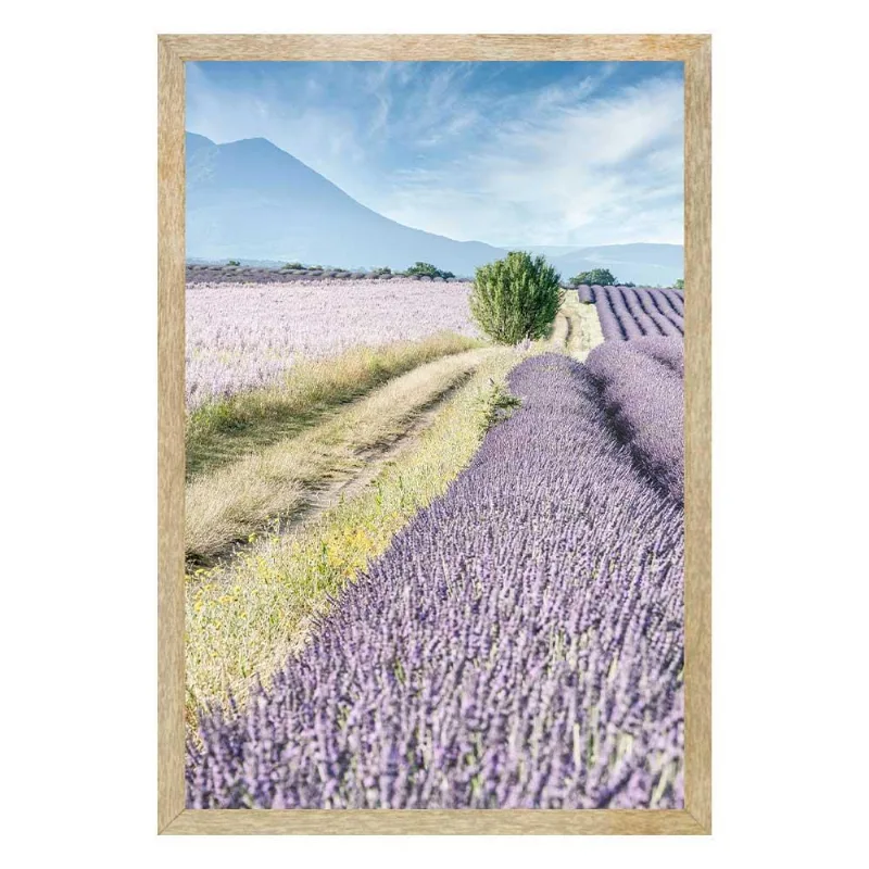 Quadro Com Vidro Campo De Lavandas 40X60Cm Arte Propria - ARTE PRÓPRIA