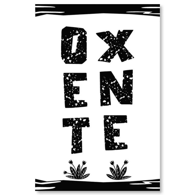 Placa Decorativa Cordel Oxente 20X30Cm Arte Propria - ARTE PRÓPRIA