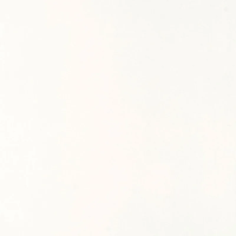 Porcelanato Polido Retificado Pure White Elizabeth Tipo C 60 x 60cm