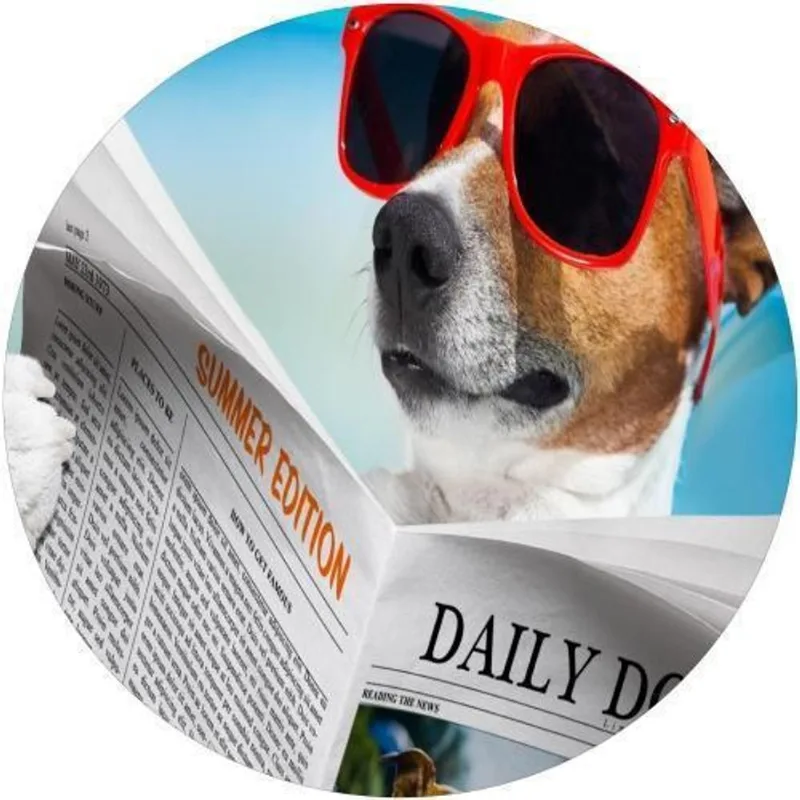 Capa De Estepe Ecosport Aircross Dog Férias