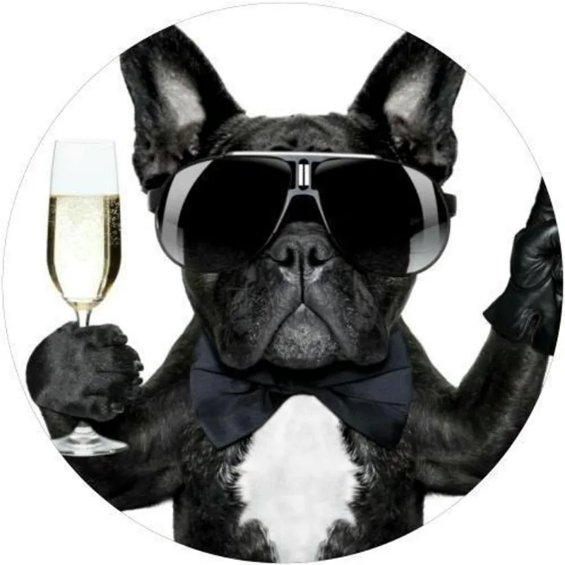 Capa De Estepe Ecosport Aircross Dog Oculos