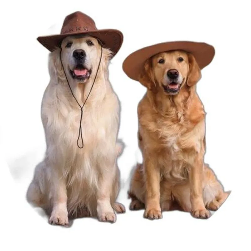 Capa De Estepe Ecosport Aircross Dog Cowboys