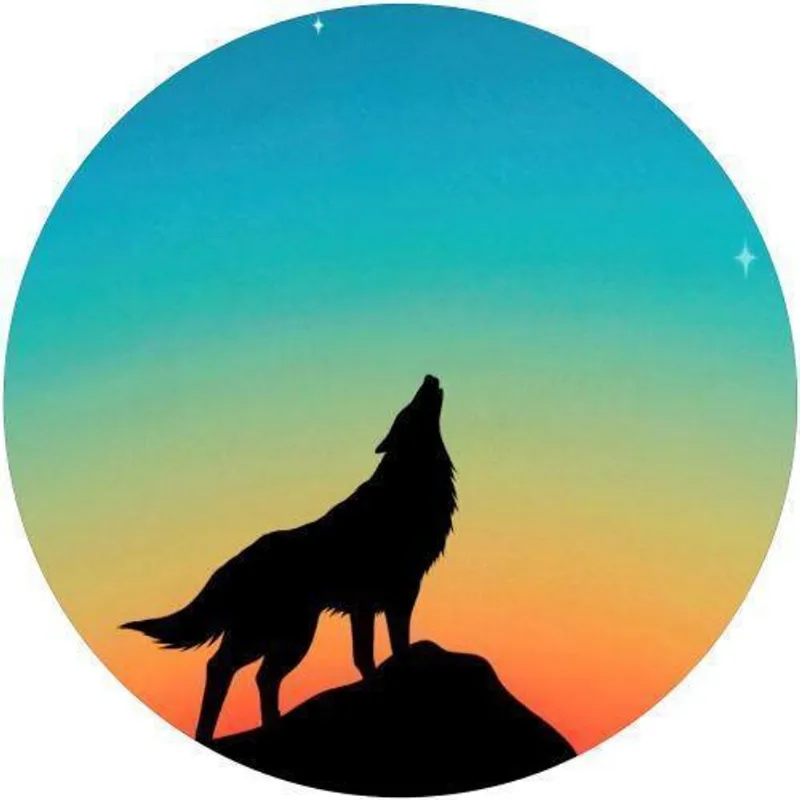 Capa De Estepe Ecosport Aircross Silhueta Lobo