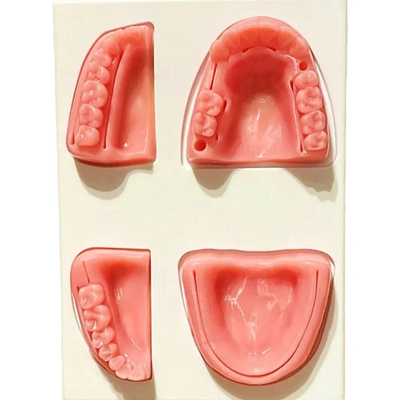 Simulador de Sutura Dental Supermedy - unidade