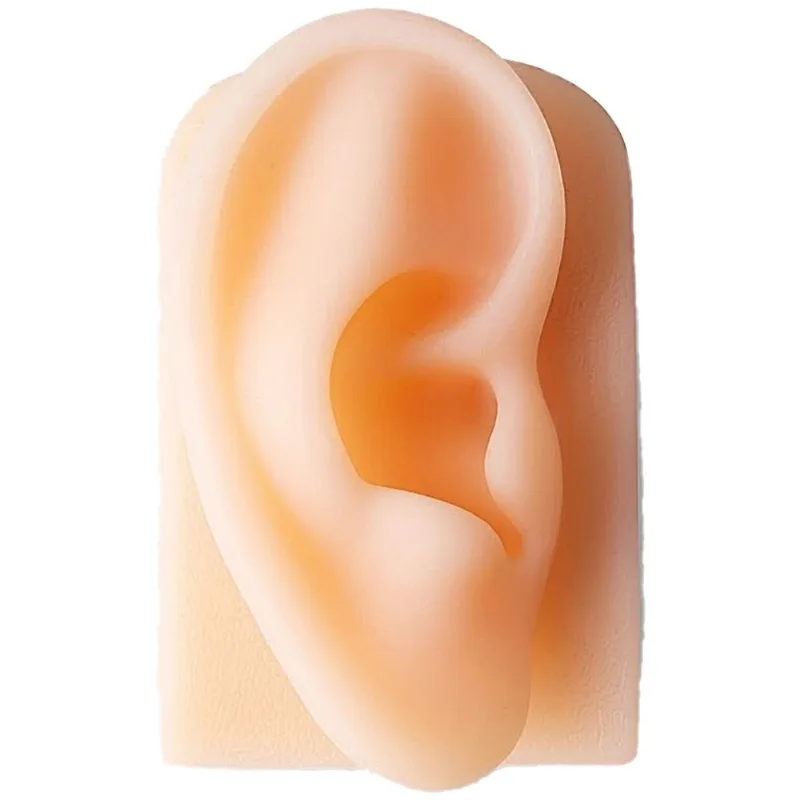 Simulador de Sutura Orelha em Silicone - unidade