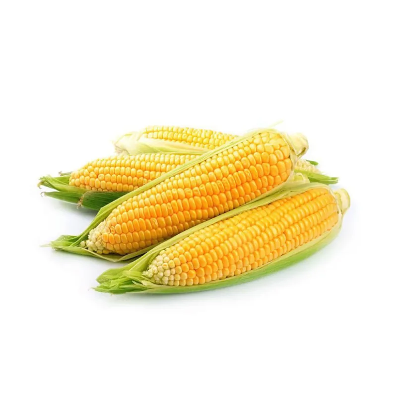 Milho Verde Unidade - Sem Marca - Hortifruti